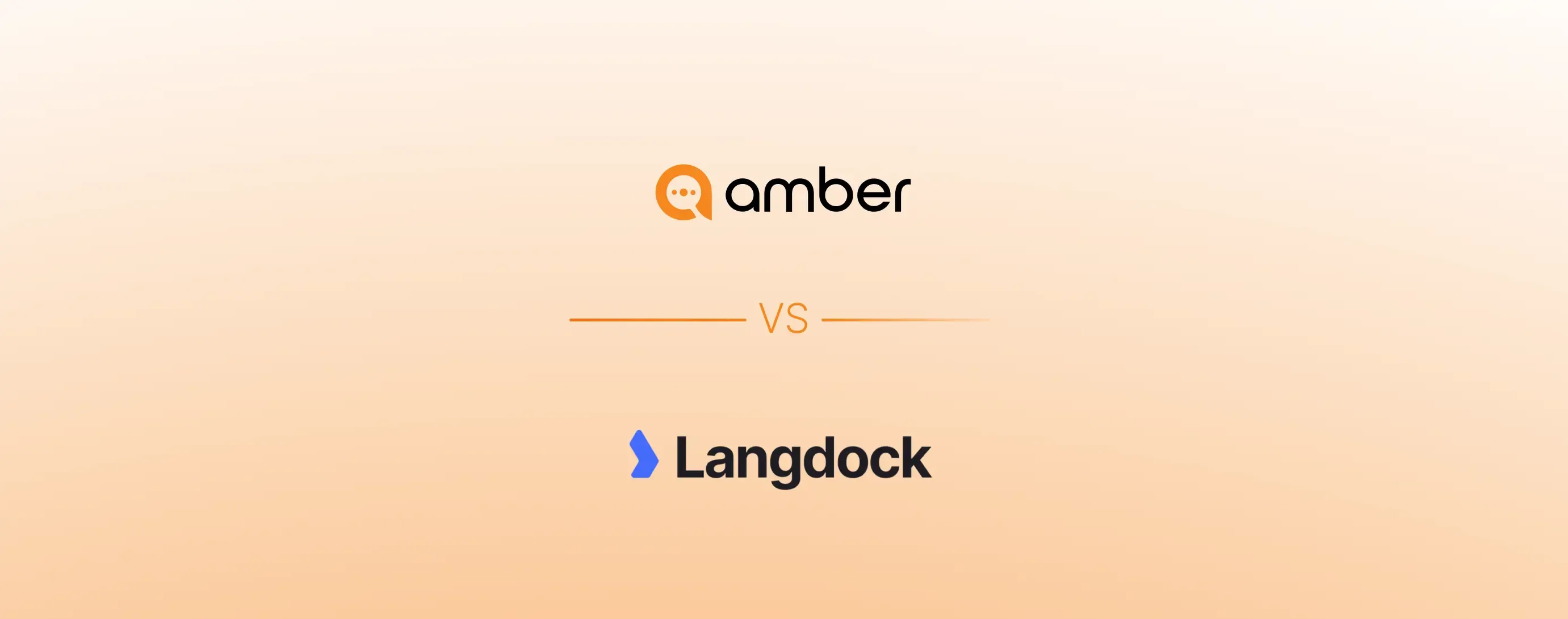 amber_vs_langdock
